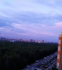Продажа, Однокомнатная квартира, Путилково, ул.Сходненская, д.11 по цене 7 400 000 руб - фото 1 - фото 2