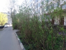 Продажа, Трехкомнатная квартира, Дмитров, ул.Космонавтов, д.36 по цене 3 299 000 руб - фото 1