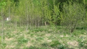 Продажа, Участок земли, Спас-Заулок по цене 450 000 руб - фото 1 - фото 2 - фото 3 - фото 4