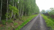 Продажа, Участок земли, Третьяково по цене 550 000 руб - фото 1 - фото 2 - фото 3 - фото 4 - фото 5 - фото 6 - фото 7 - фото 8 - фото 9 - фото 10 - фото 11 - фото 12 - фото 13