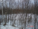 Продажа, Участок земли, Семчино по цене 1 500 000 руб - фото 1 - фото 2 - фото 3 - фото 4 - фото 5