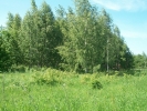 Продажа, Участок земли, Захарово (г.п. Клин) по цене 950 000 руб - фото 1 - фото 2 - фото 3 - фото 4 - фото 5 - фото 6 - фото 7 - фото 8