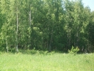 Продажа, Участок земли, Захарово (г.п. Клин) по цене 950 000 руб - фото 1 - фото 2 - фото 3