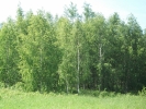 Продажа, Участок земли, Захарово (г.п. Клин) по цене 950 000 руб - фото 1 - фото 2 - фото 3 - фото 4 - фото 5 - фото 6 - фото 7