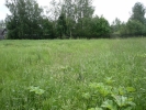 Продажа, Участок земли, Бекетово по цене 800 000 руб - фото 1 - фото 2 - фото 3 - фото 4 - фото 5