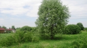 Продажа, Участок земли, Крупенино по цене 550 000 руб - фото 1 - фото 2