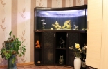 Продажа, Трехкомнатная квартира, Клин, ул.Первомайская, д.16 по цене 3 927 000 руб - фото 1 - фото 2 - фото 3