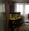 Продажа, Двухкомнатная квартира, Марфино, ул.Цветочная, д.5 по цене 3 050 000 руб - фото 1