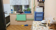 Продажа, Двухкомнатная квартира, Химки, Сходня мкр., ул.Вишневая, д.19 по цене 4 200 000 руб - фото 1 - фото 2 - фото 3 - фото 4