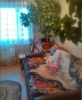 Продажа, Трехкомнатная квартира, Дмитров, ул.Оборонная, д.3 по цене 4 223 000 руб - фото 1 - фото 2 - фото 3 - фото 4 - фото 5 - фото 6