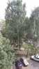 Продажа, Однокомнатная квартира, Клин, ул.Карла Маркса, д.43 по цене 2 500 000 руб - фото 1 - фото 2 - фото 3 - фото 4 - фото 5 - фото 6 - фото 7