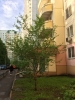 Продажа, Двухкомнатная квартира, Зеленоград, ул.Андреевка, д.30 по цене 5 700 000 руб - фото 1 - фото 2 - фото 2 - фото 5 - фото 6 - фото 7 - фото 9 - фото 11 - фото 12