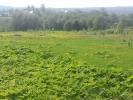 Продажа, Участок земли, Зубово по цене 1 100 000 руб - фото 1 - фото 2 - фото 3 - фото 4