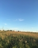 Продажа, Участок земли, Кузнецово (с.п. Якотское) по цене 1 650 000 руб - фото 1 - фото 2