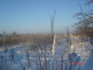 Продажа, Участок земли, Соголево по цене 850 000 руб - фото 1 - фото 2 - фото 3 - фото 4