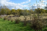 Продажа, Участок земли, Крупенино по цене 350 000 руб - фото 1 - фото 2